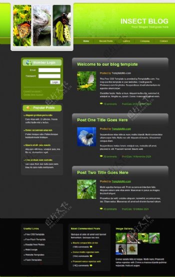 昆虫博客网页模板图片