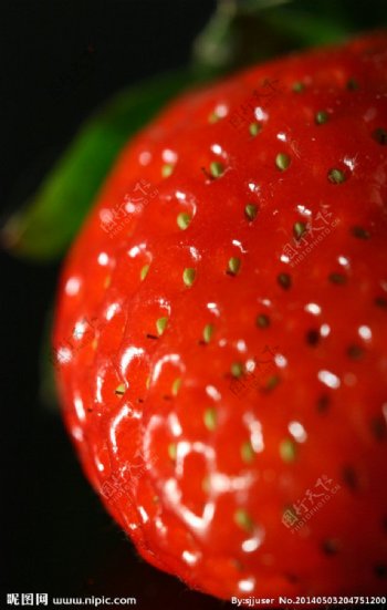 草莓上面的种子特写图片