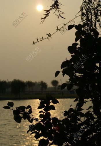 湖边夕阳图片