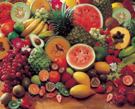 昆士兰热带雨林原产水果图片