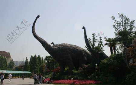 常州恐龙园图片