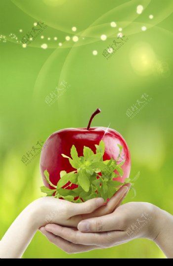 手苹果红苹果图片