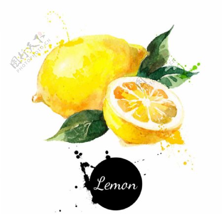 水彩画柠檬图片