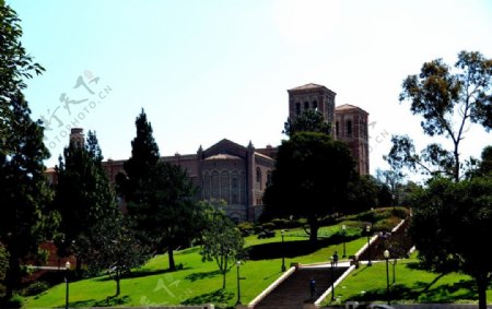 加州大学洛杉矶分校图片