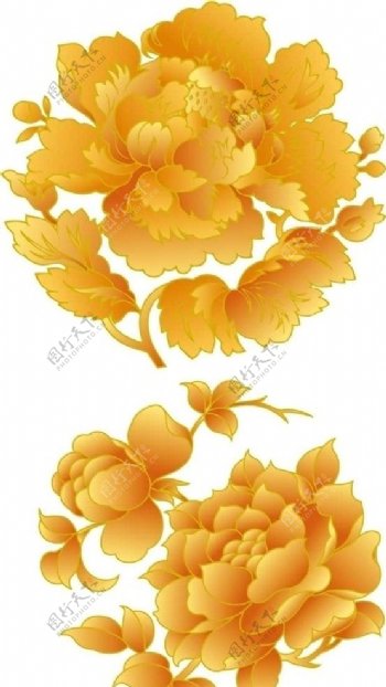 中国传统金色牡丹纹样图片