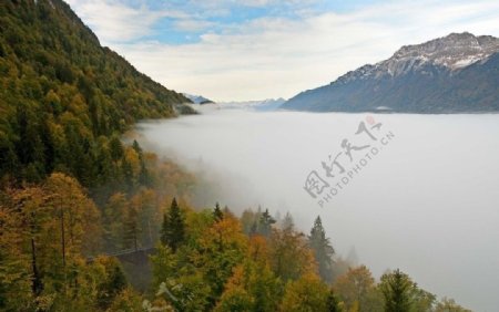秋天雾境图片