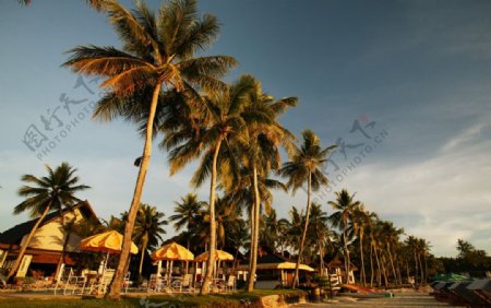 帕劳科罗岛国际度假村图片