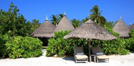 马尔代夫库鲁巴岛度假村图片