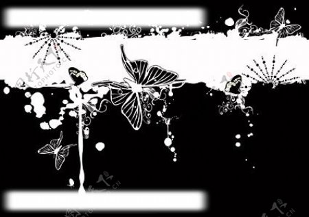 时尚花纹蝴蝶潮流黑白图片