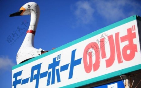 鸭子蓝天日语图片