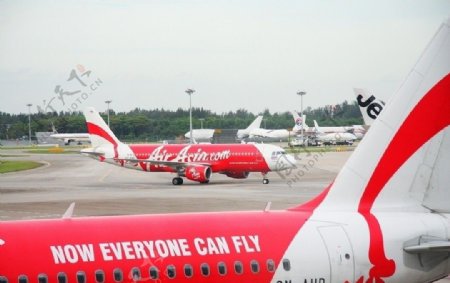 新加坡樟宜机场亚航A320图片