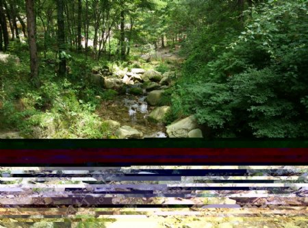 小溪石头树林图片