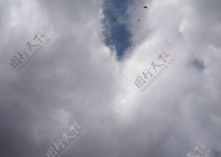 松赞林寺的云和鸦图片