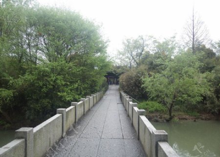 杭州西溪湿地景观图片