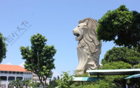 圣淘沙鱼尾狮图片