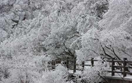 山中雪景图片