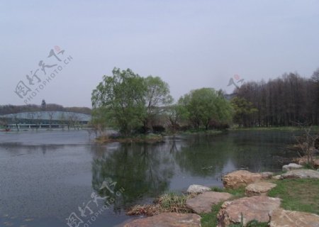 前湖图片