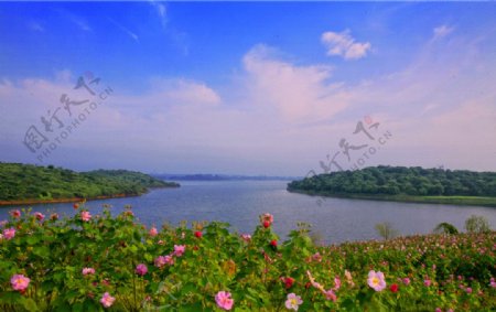 东莞松山湖景观图片