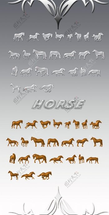 各种马形态矢量图图片