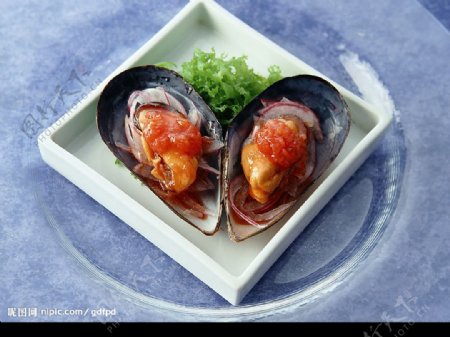 贝壳类食物图片