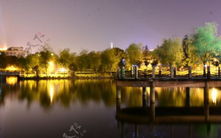 公园夜色图片