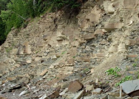 米加沙化石遗址图片