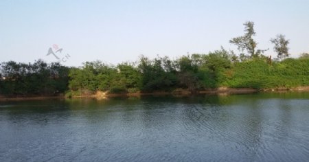 东坡湖图片