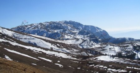 会泽大海草山的雪图片