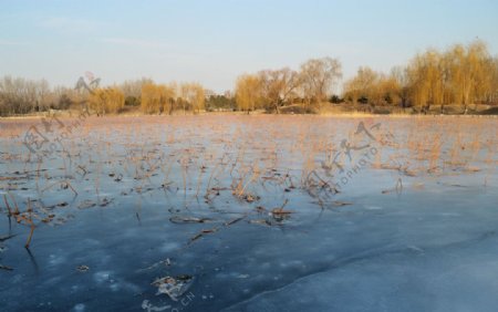 冰冻河流图片