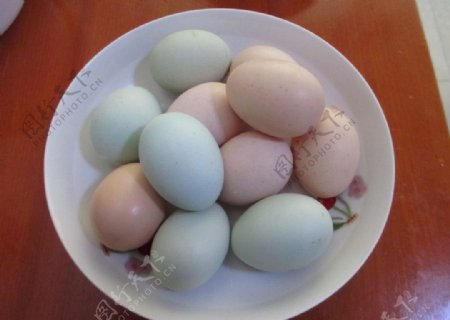 鸡蛋很多鸡蛋图片