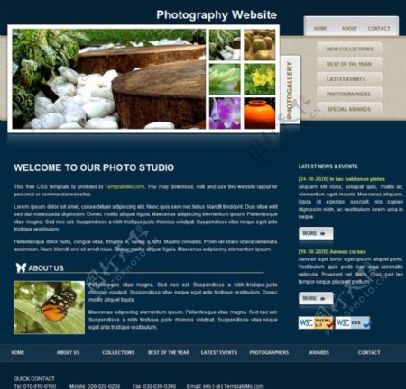 摄影工作室网站模版图片