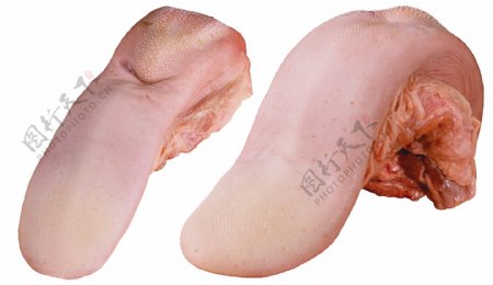 新鲜猪舌头图片