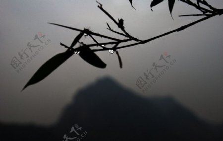 竹子远山山的剪影图片