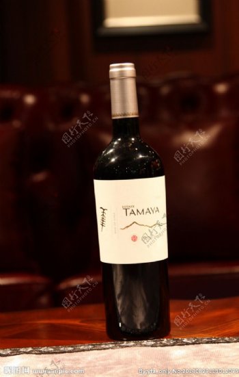 大玛雅缤纷卡门葡萄酒图片