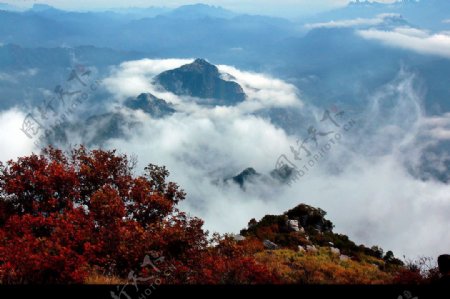 云海神山图片