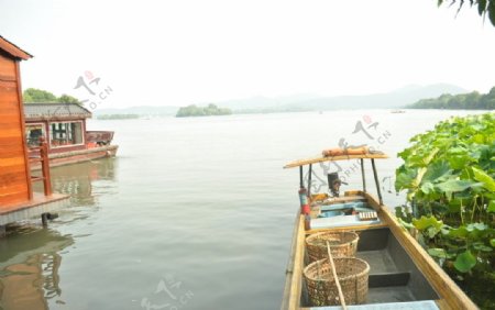 杭州西湖荷花和渔船图片
