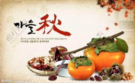 韩国秋天素材图片