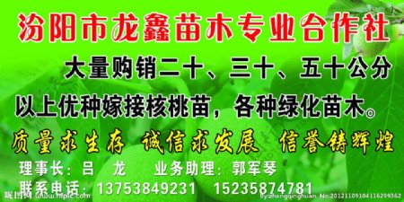 汾阳市龙鑫苗木专业合作社图片
