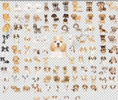 150种狗图片