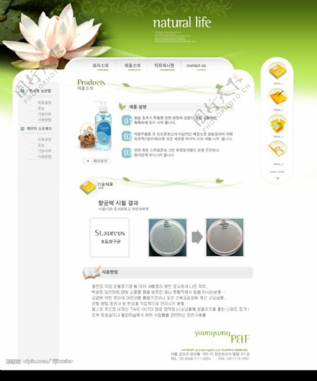 韩国化妆品绿色系网站图片