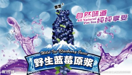 野生蓝莓原浆广告图图片