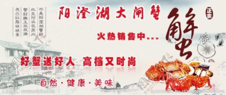阳澄湖大闸蟹广告图图片