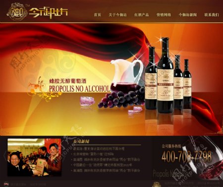 葡萄酒网站首页图片