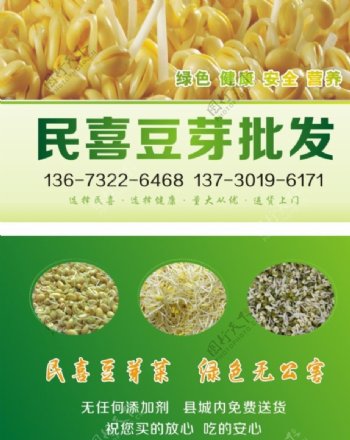 绿色豆芽食品经销名片图片