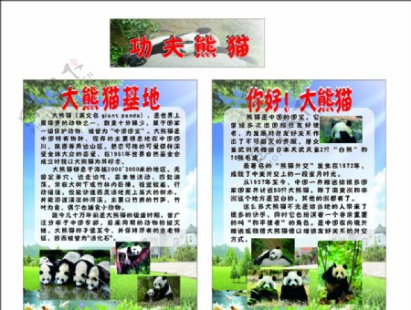 大熊猫展板图片