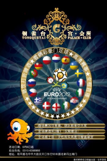 欧洲杯2012图片
