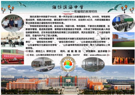 潍坊滨海中学宣传页图片