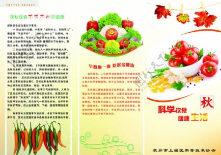 科学饮食健活三折页封面图片