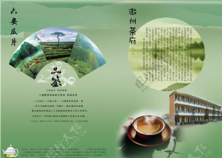 画册茶折页设计图片