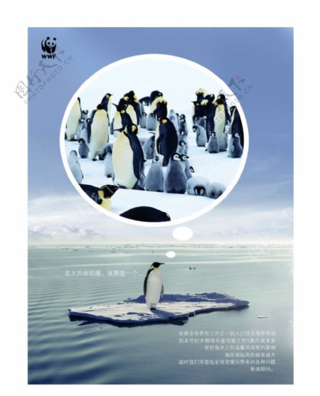 公益广告企鹅图片